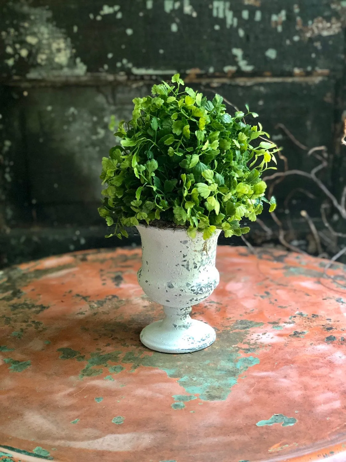 The Josie Maiden Hair Fern Topiary Urn
