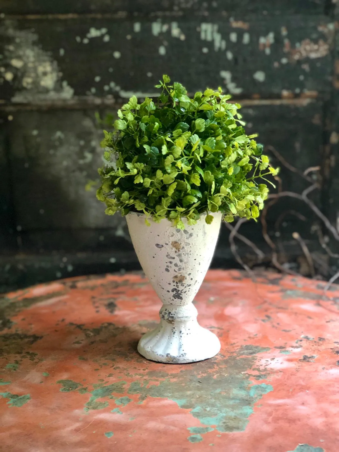 The Josie Maiden Hair Fern Topiary Urn