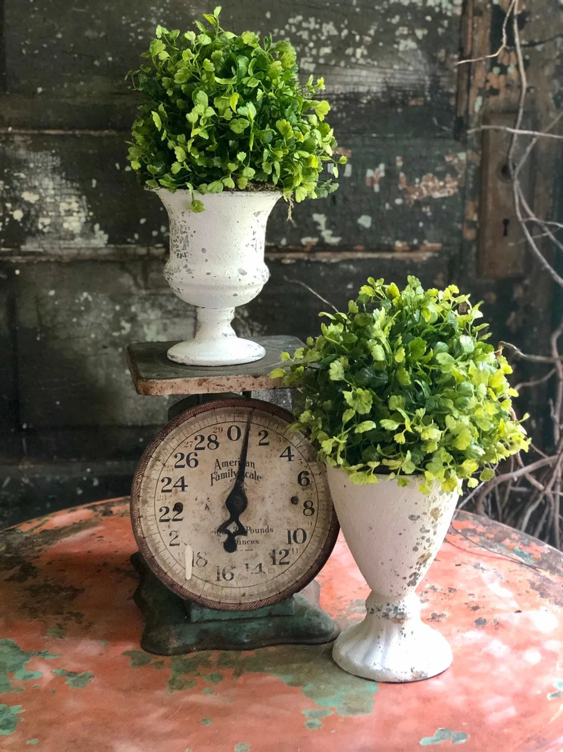 The Josie Maiden Hair Fern Topiary Urn