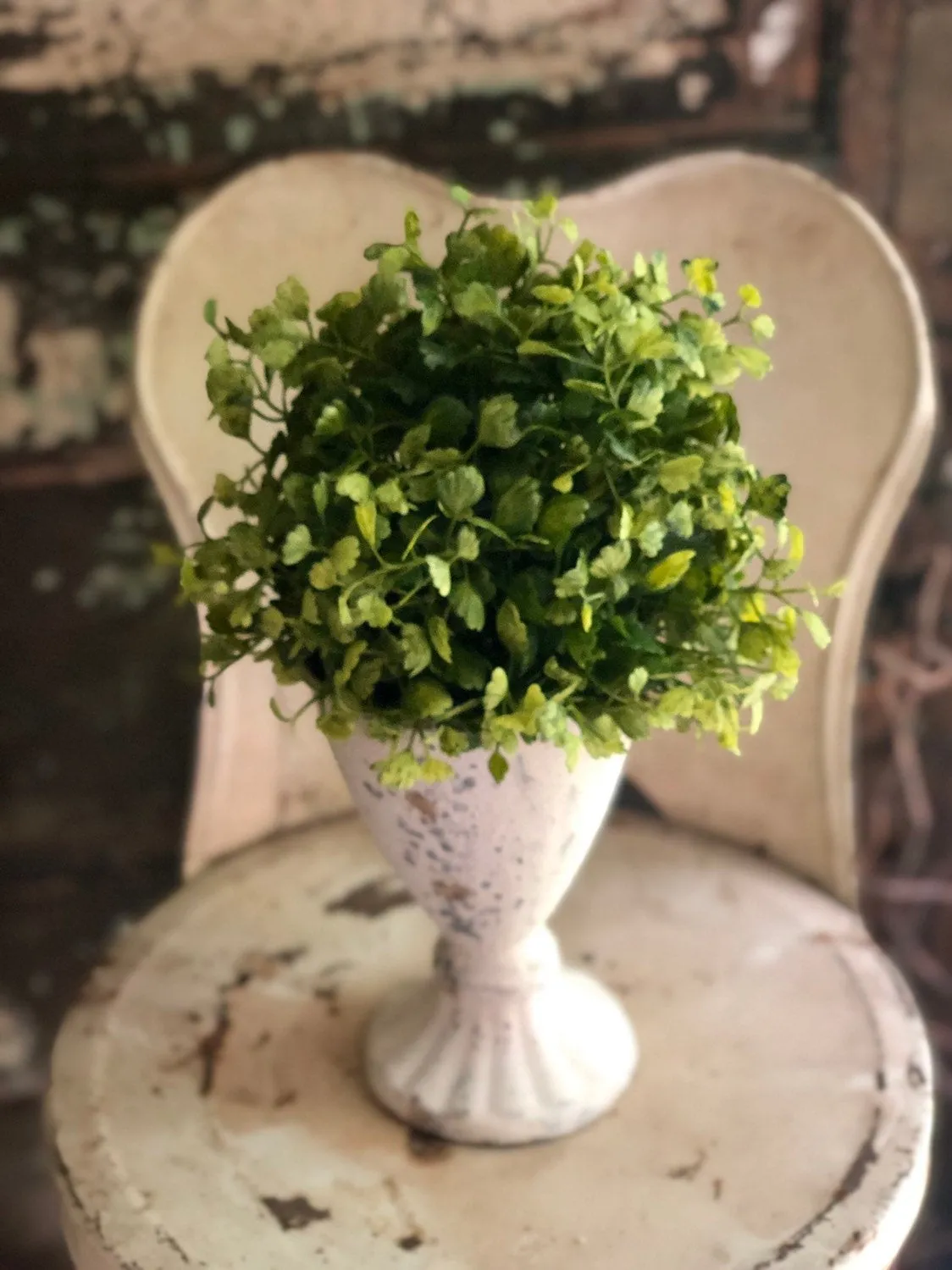 The Josie Maiden Hair Fern Topiary Urn