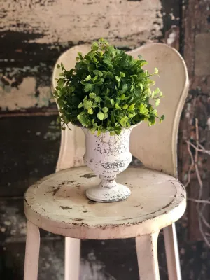 The Josie Maiden Hair Fern Topiary Urn