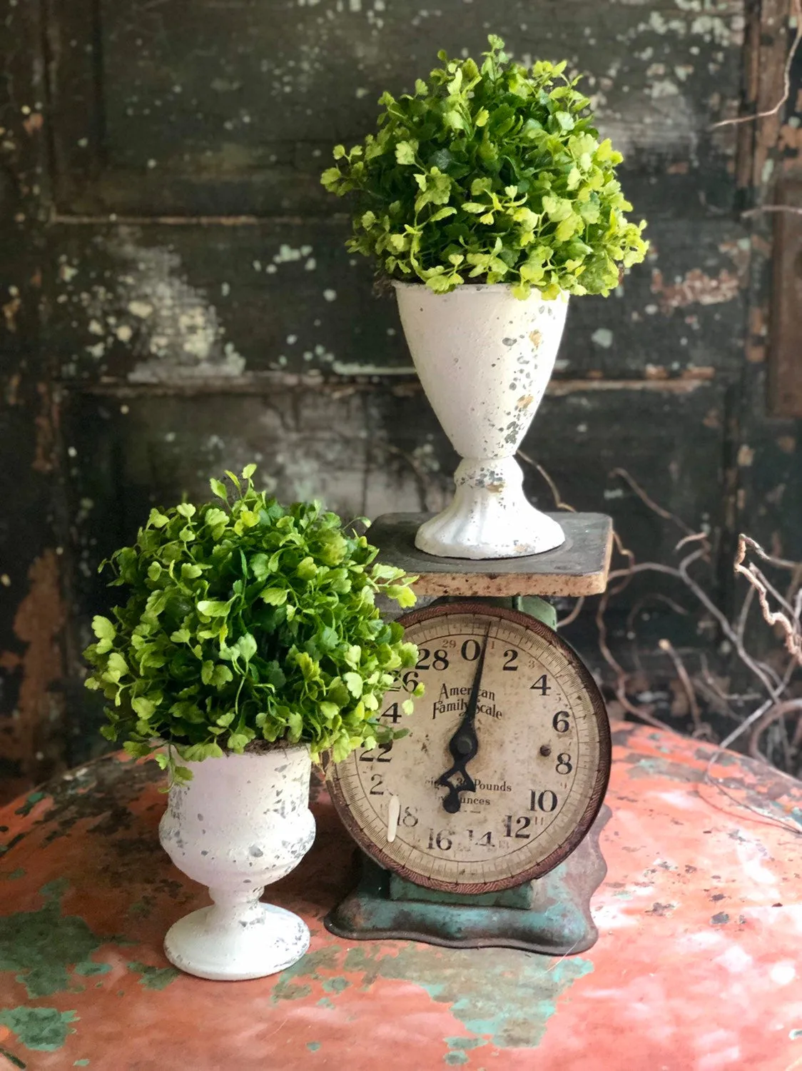 The Josie Maiden Hair Fern Topiary Urn