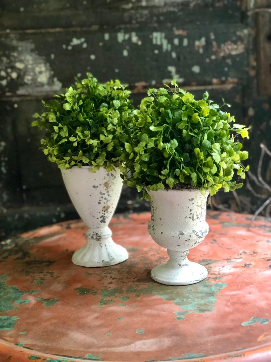 The Josie Maiden Hair Fern Topiary Urn